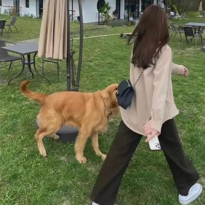 人鱼先生